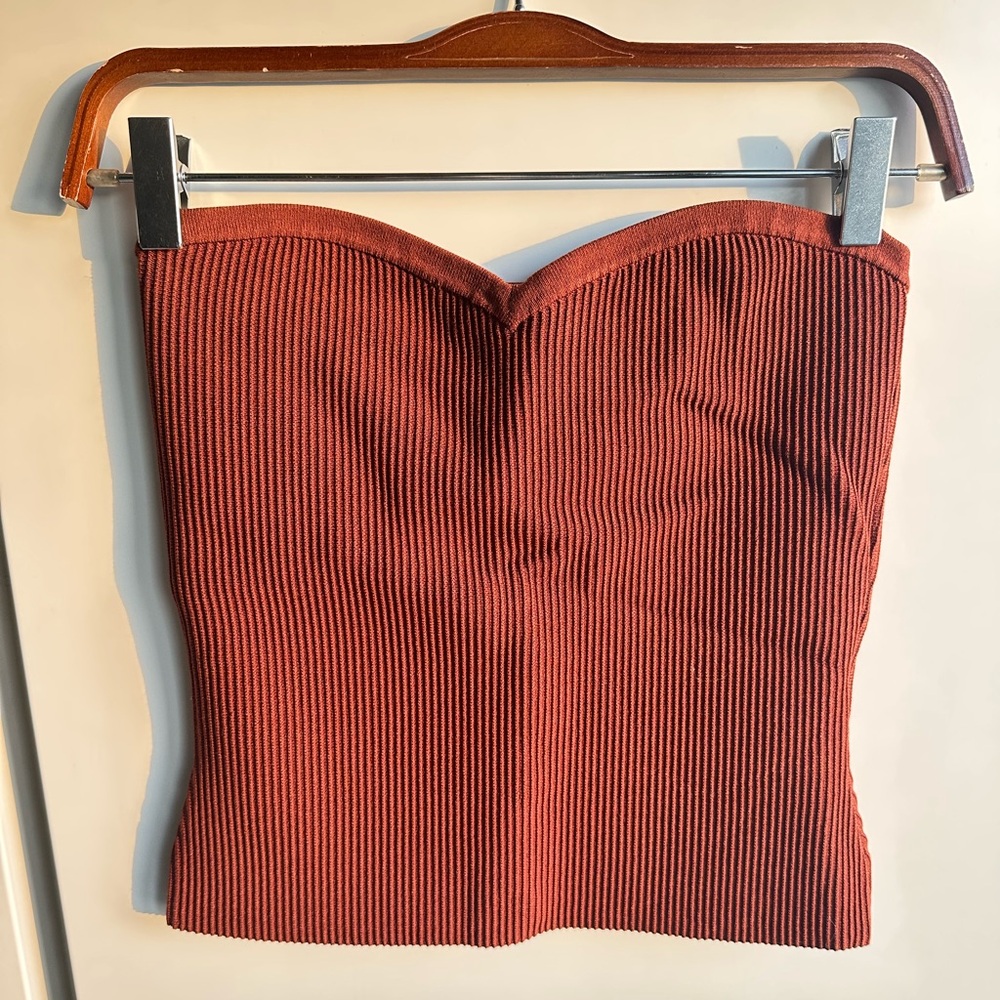 Aritzia Babaton Strapless Top in Rust
